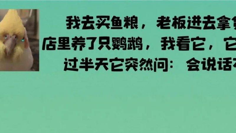 在选择供应链代理时，首先要关注其资质。以下是一些重要的评估指标：